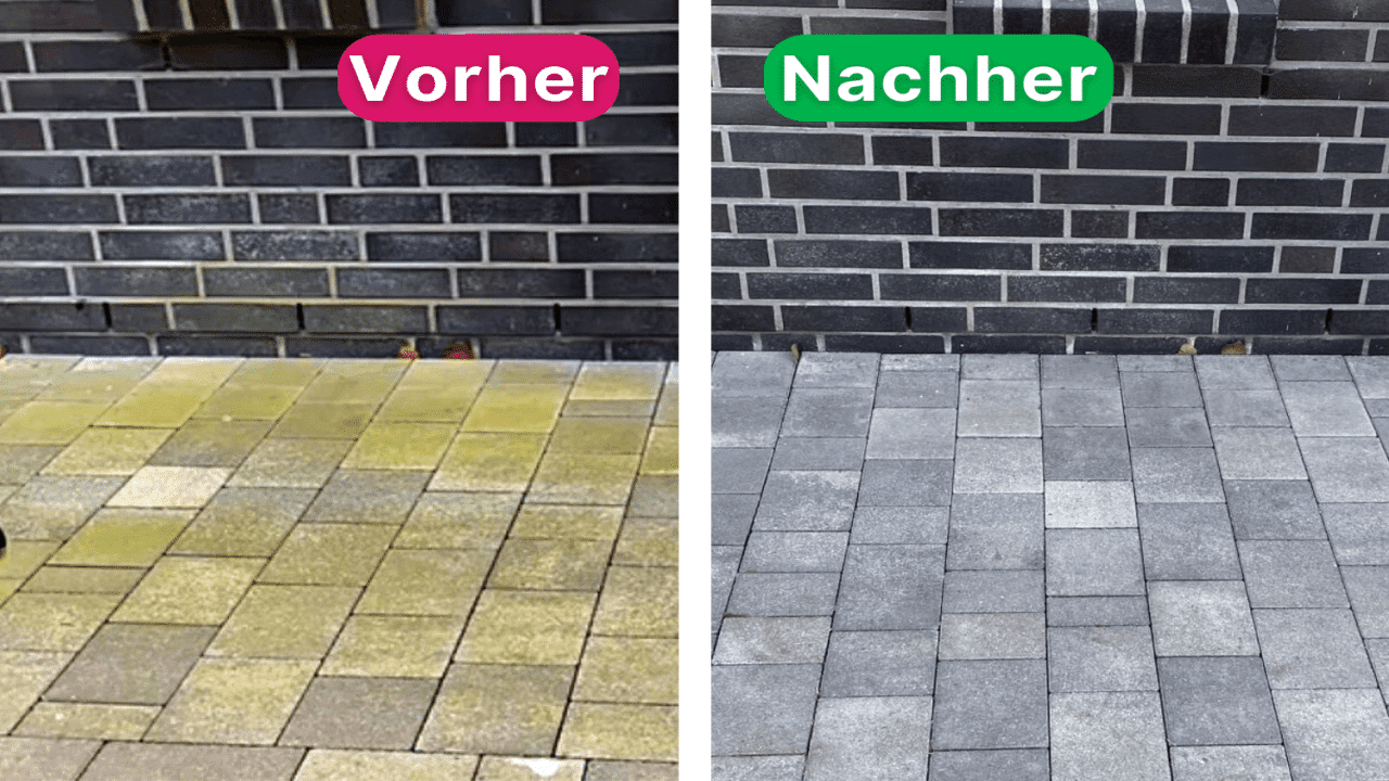 Das Grünbelag Monster - lästigen Grünbelag, Flechten und Algen auf Terrassen entfernen!